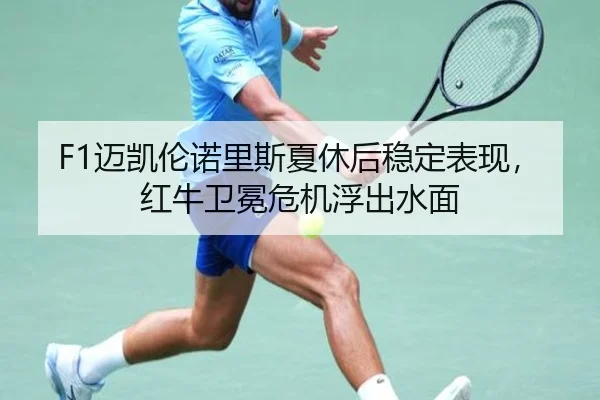 F1迈凯伦诺里斯夏休后稳定表现，红牛卫冕危机浮出水面
