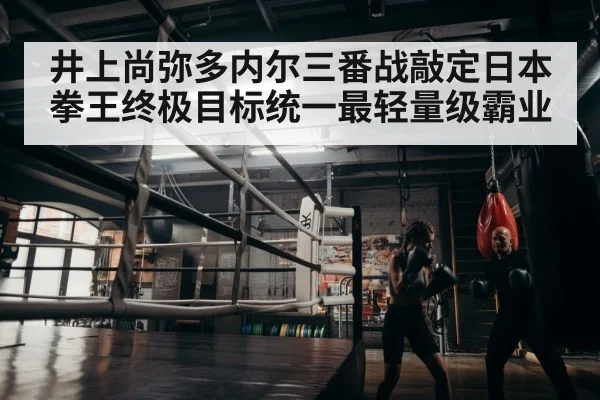 boxer training